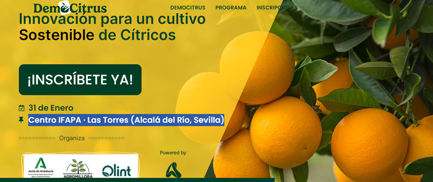  DEMOCITRUS - Innovación para un cultivo de cítricos eficiente, sostenible y productivo (31.01.2024)
